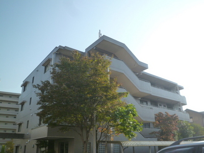 Building appearance. Appearance 2