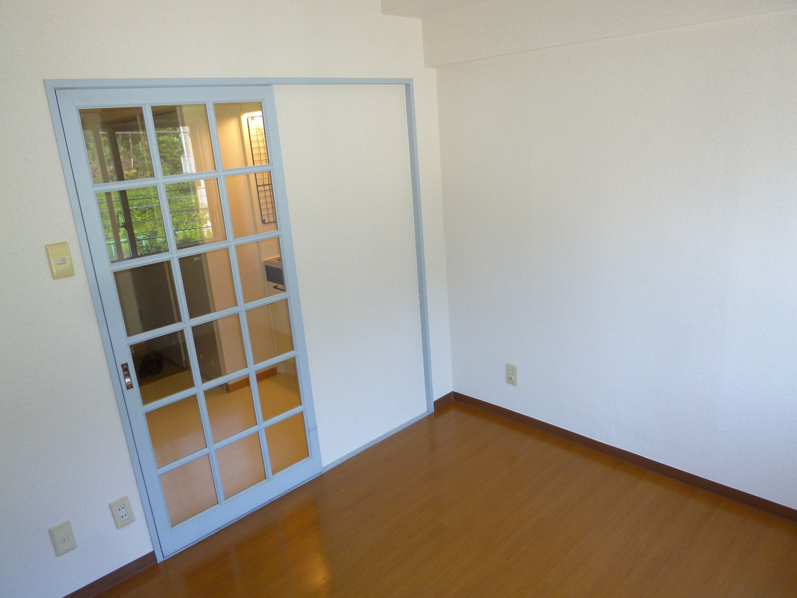 Living and room. There partition kitchen and the room.