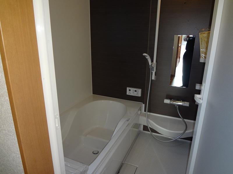 Bathroom. Indoor (12 May 2013) Shooting