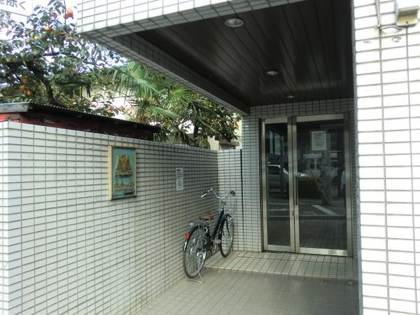 Entrance. Common areas