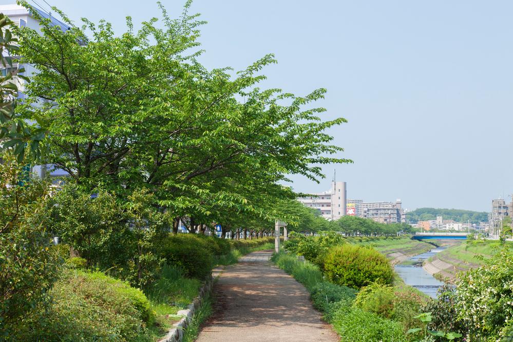 Other Environmental Photo. Yoshiki 290m until the green road