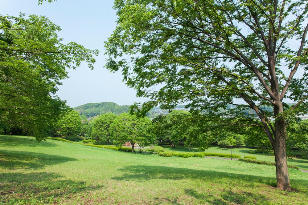 park. 590m until Fujimidai park