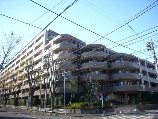 Local appearance photo. Mansion appearance (1)