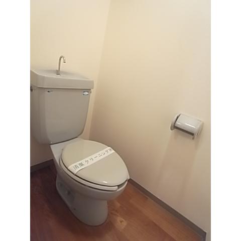 Toilet. Large storage
