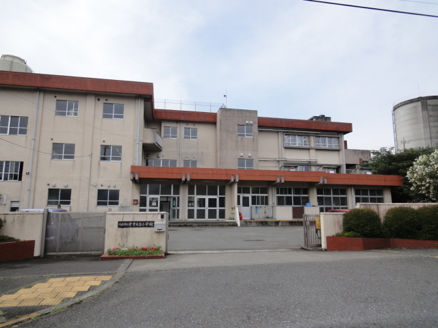 Primary school. 508m to Hachioji Municipal Utsugi stand elementary school (elementary school)