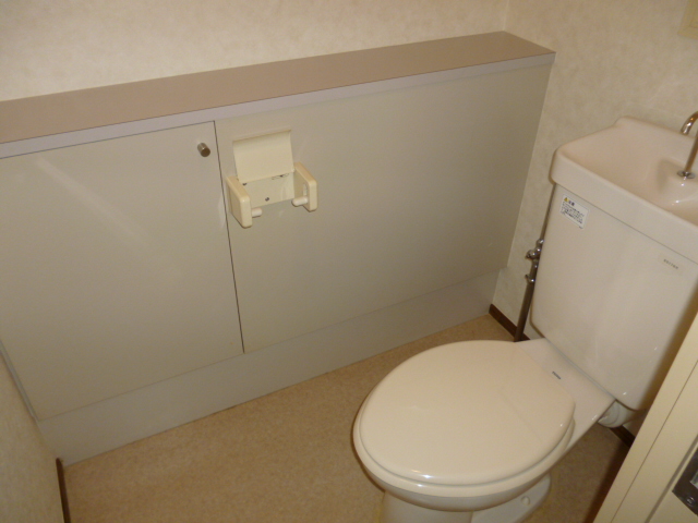 Toilet. Toilet with storage shelf.