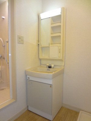 Washroom. Independent wash basin