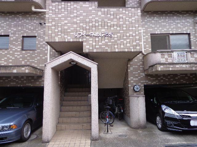 Entrance. Common areas