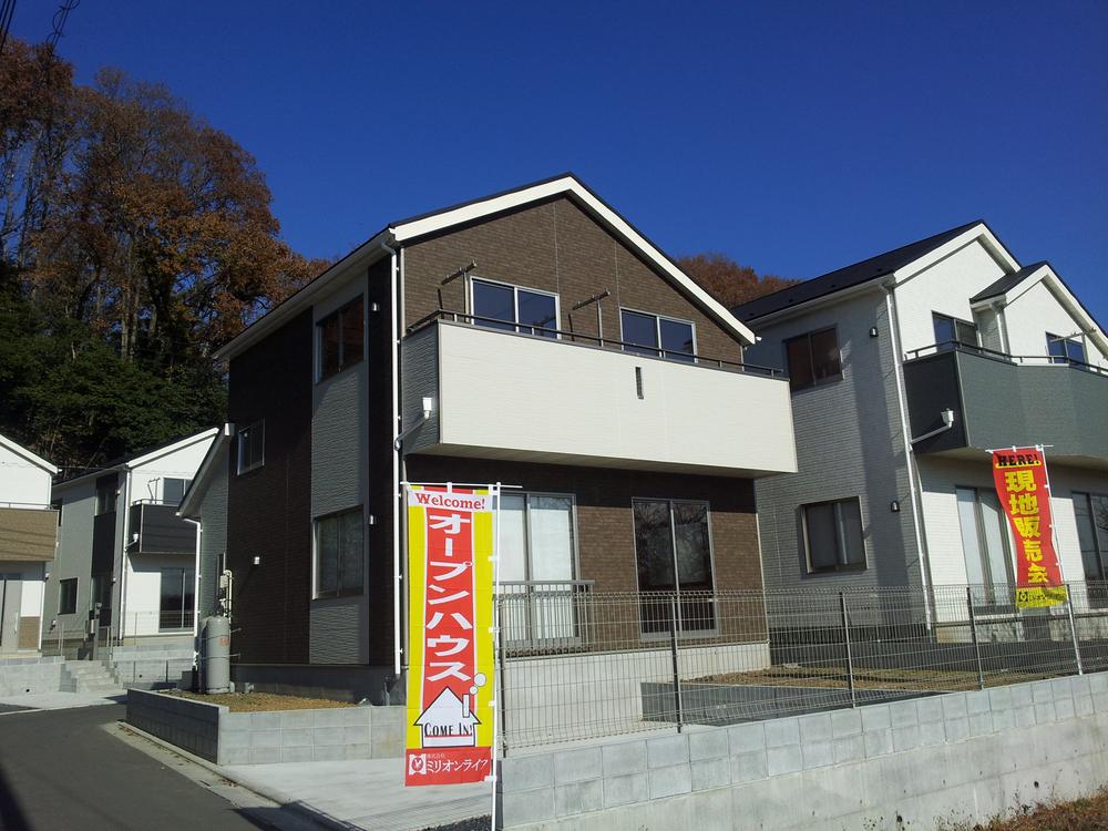 Other local. Local (12 May 2013) Shooting