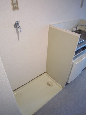 Washroom. Washing machine in the room