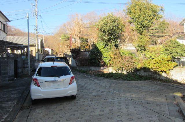 Local photos, including front road. 2013 December 22, shooting