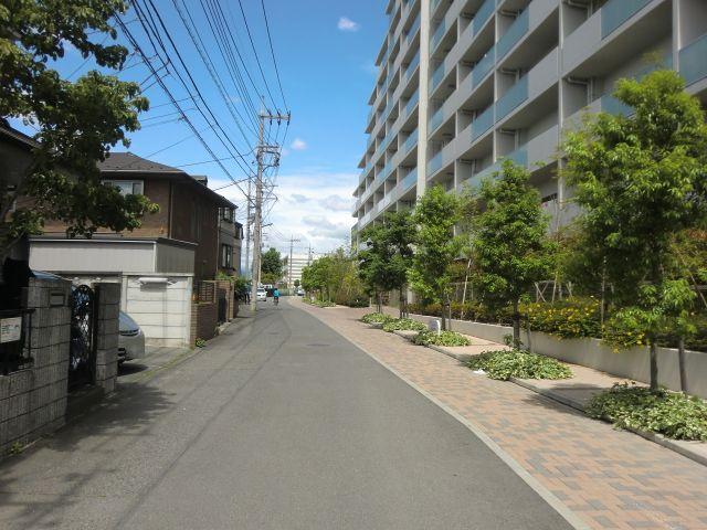 Other. Local photos, including front road