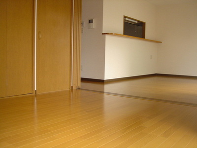 Living and room. LDK from Western-style! 