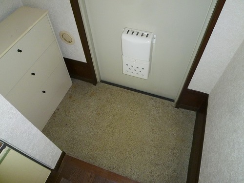 Entrance. There is also a shoe box