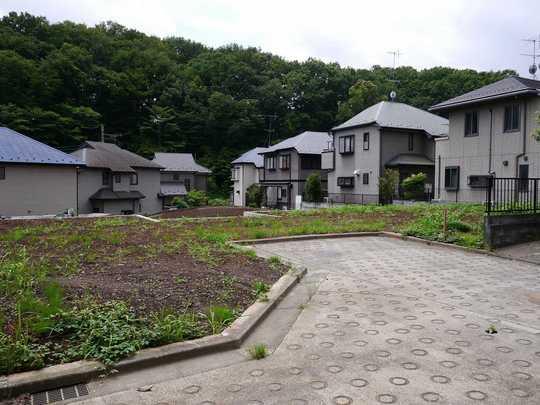 Local photos, including front road