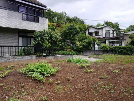 Local appearance photo