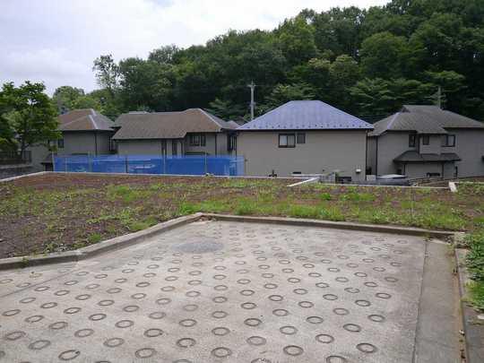 Local photos, including front road