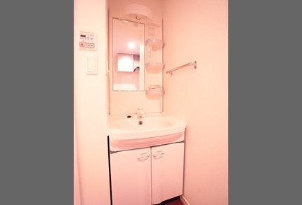 Washroom. Shelf rich independent basin