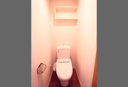 Toilet. Toilet with WC