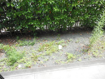 Garden. Terrace is the part