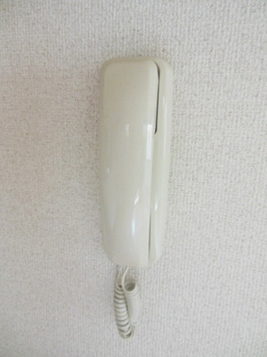 Security. It comes with intercom