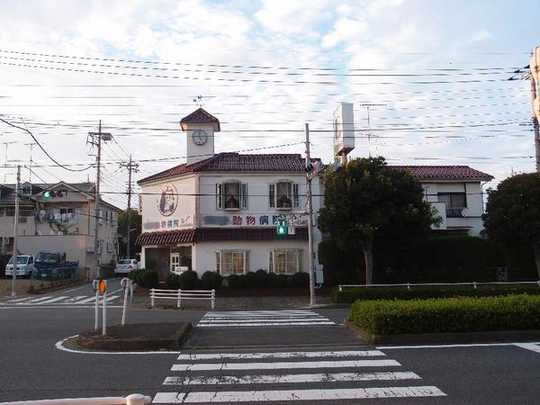 Local land photo. Subject property south appearance