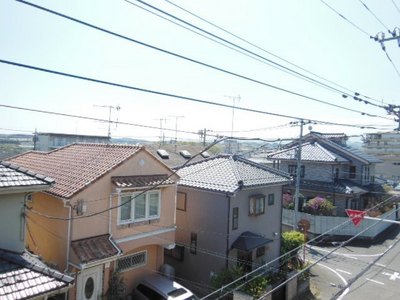 View. ☆ Is the view from the window ☆