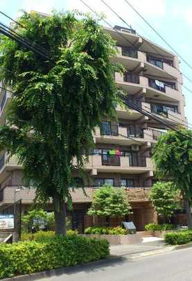 Local appearance photo. Building appearance Large-scale repair Performed (early December 2010)