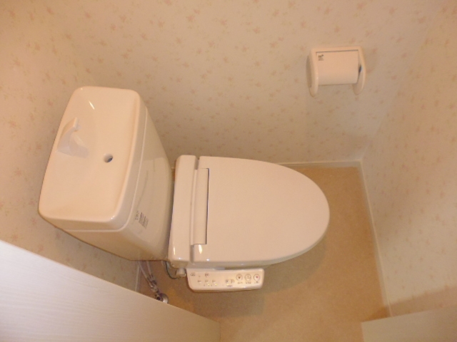 Toilet. Warm water washing toilet seat