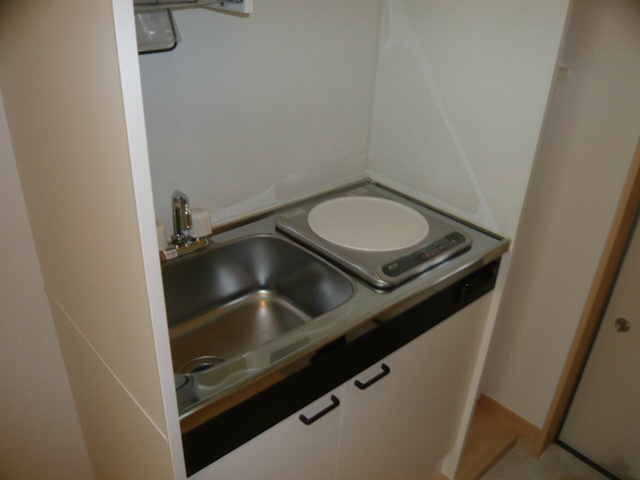 Kitchen. IH cooking heater