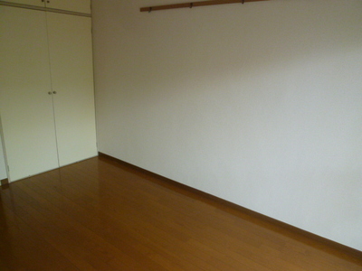 Living and room. Living room 3