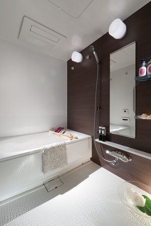 Bathing-wash room. Bathroom