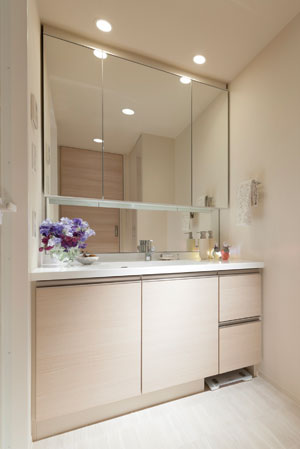 Bathing-wash room. bathroom