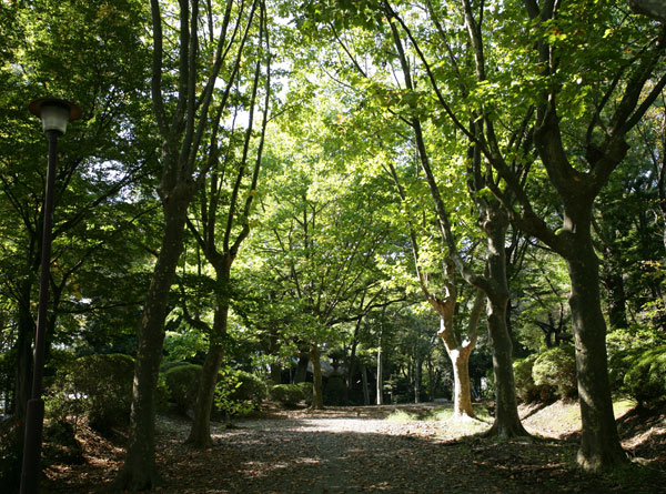 Surrounding environment. Fuji Forest Park (about 1330m ・ 17 minutes) 1896 walk (1896) opening of the park has been the city's oldest park. baseball Ground, Athletics stadium, gymnasium, Tennis court, Various sports facilities also provided, such as futsal field is available, Also in full glory is Hana large-flowered in the night sky as the venue of Hachioji fireworks in the summer.  ※ Held the contents of the "Hachioji fireworks" is change ・ You might stop.
