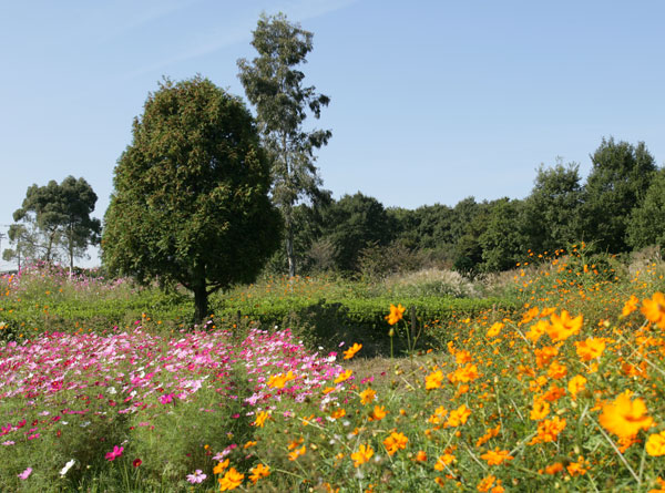 Surrounding environment. Komiya park (about 1380m ・ 18 minutes walk) and is surrounded by a beautiful green, Boasting a site area of ​​approximately 250,000 sq m, The largest park in Hachioji city. The park, Wooded area Ya the former Musashino vestiges remain, Made of spring water "Benten Pond", There is a big time Kakemawareru grassland of square child, Can also observing nature, such as birds and insects, Also suitable for a holiday picnic.