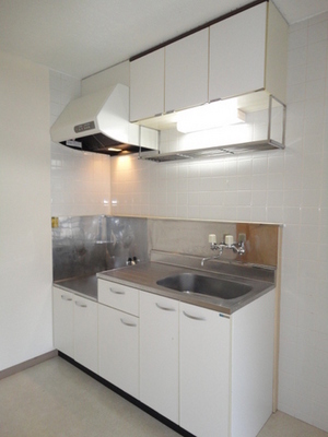 Kitchen. Two-burner gas stove installation Allowed