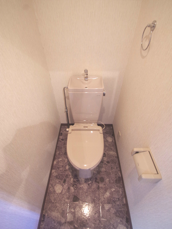 Toilet. The same properties of different Room No.. It will be helpful photo.