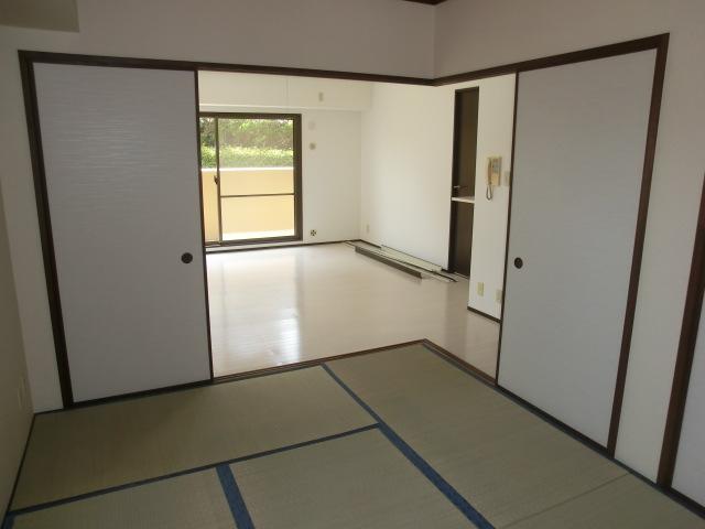 Other introspection. Interior