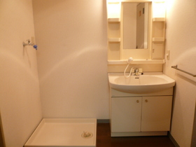 Washroom. Wash basin