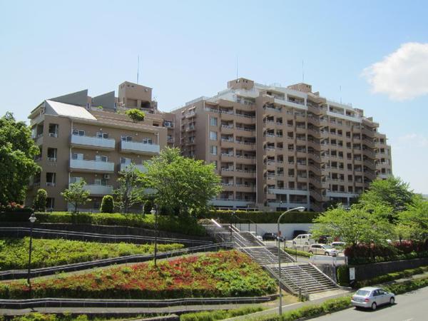 Local appearance photo. Local (11 May 2013) Shooting