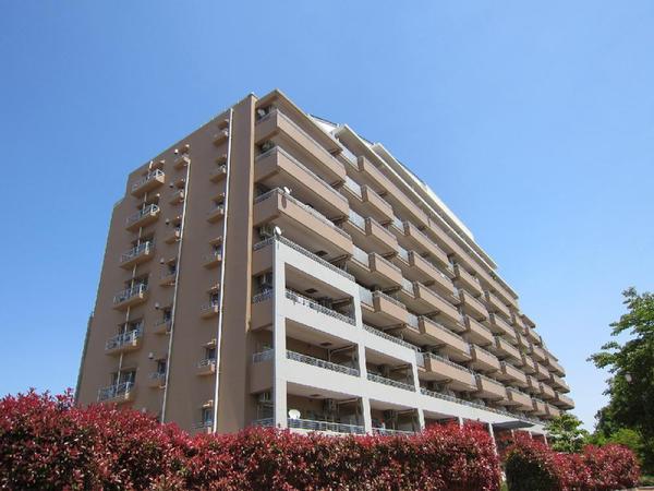 Local appearance photo. Local (11 May 2013) Shooting