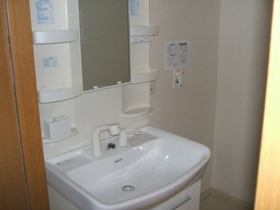 Washroom. Shampoo dresser