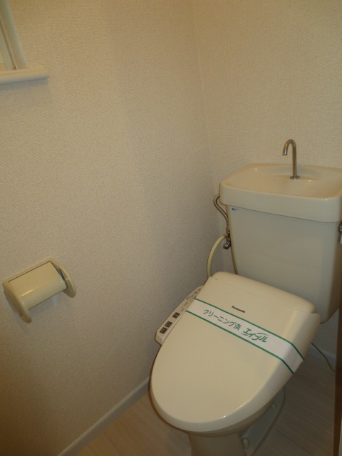 Toilet. Flush toilet