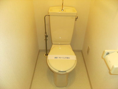 Toilet. Toilet