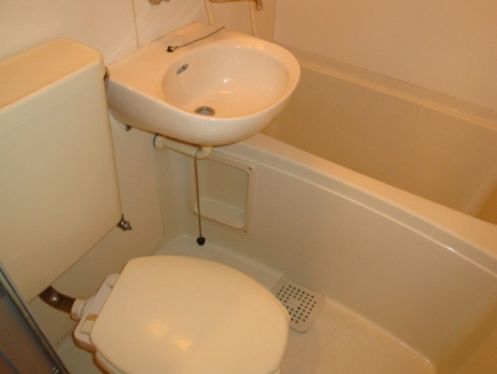 Bath. It is a simple bathroom cleaning.