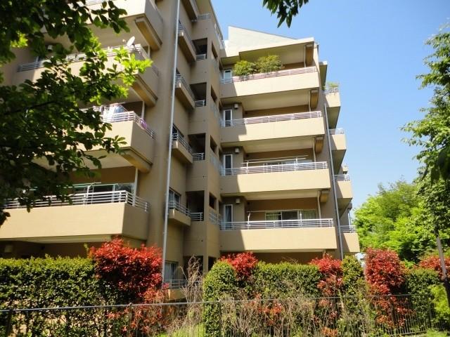 Local appearance photo. View (Adjacent to South Nooka park)