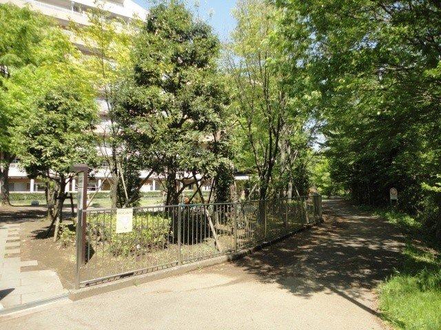 Other local. Minamino park (Green road)