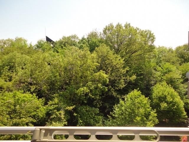 View photos from the dwelling unit. View from the southwest side balcony