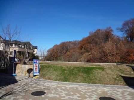 Local land photo. E1 No. land