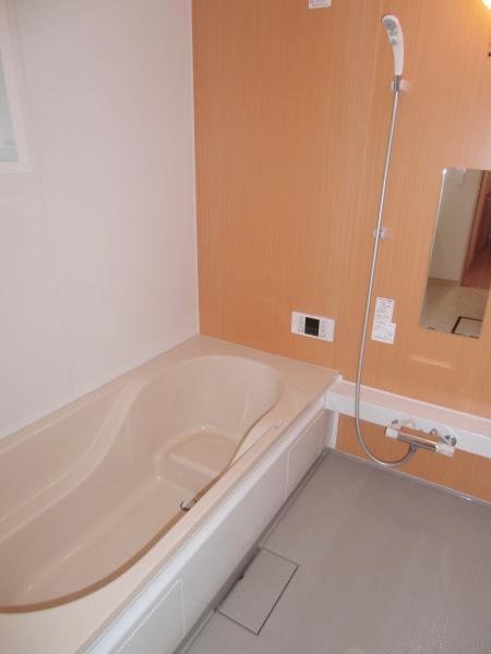 Same specifications photo (bathroom)